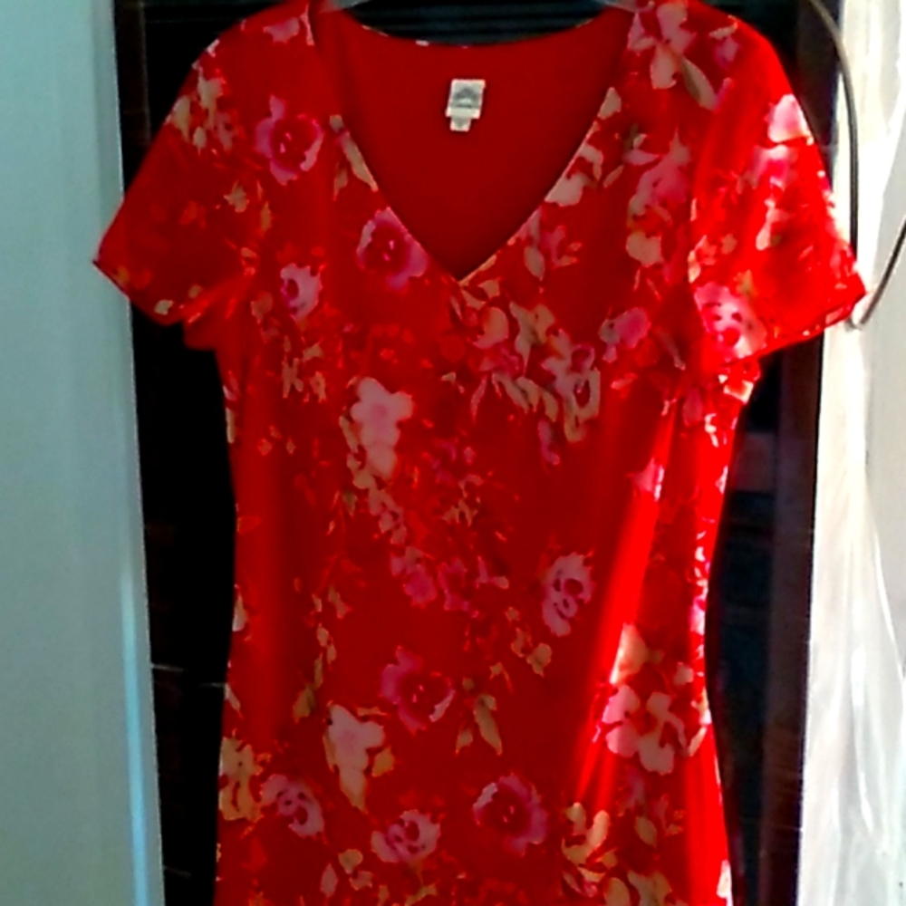 Woman's Dress sz14